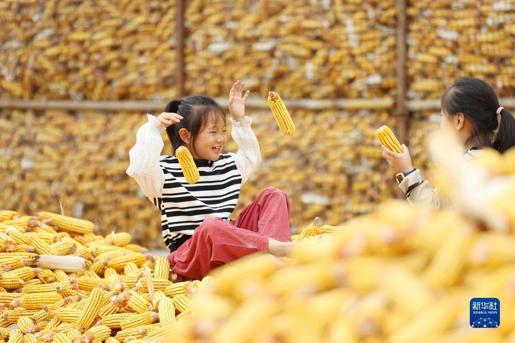 环亚注册地址